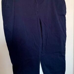 J. Crew Dark Navy Cotton Chinos